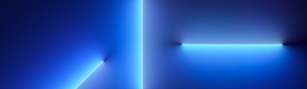 iPhone 13 Pro Max Hüllen