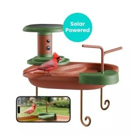 Birdfy Birdbath Jolly V Lite - Intelligentes Vogelbad mit Kamera und KI-Erkennung