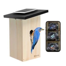 Birdfy Birdhouse Ebony Lite Smart – Intelligentes, solarbetriebenes Vogelhaus mit Kamera und KI-Vogelerkennung