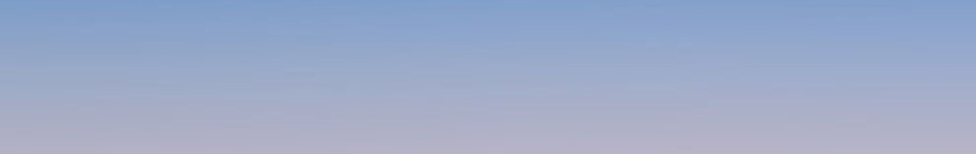 iPad Mini 1 / 2 / 3 Adapter und Ladegeräte