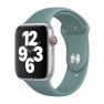 Apple Sport Band Apple Watch 42mm / 44mm / 45mm / 49mm Cactus sticky