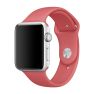 Apple Sport Band Apple Watch 42mm / 44mm / 45mm / 49mm Camellia sticky