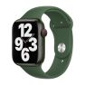 Apple Sport Band Apple Watch 42mm / 44mm / 45mm / 49mm Clover sticky