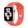 Apple Sport Band Apple Watch 42mm / 44mm / 45mm / 49mm Pink Citrus sticky