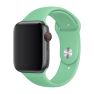 Apple Sport Band Apple Watch 38mm / 40mm / 41mm Spearmint sticky