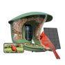 Birdfy Feeder Pro 2 Lite – Intelligenter, solarbetriebener Vogelspender mit Kamera und KI-Vogelerkennung sticky