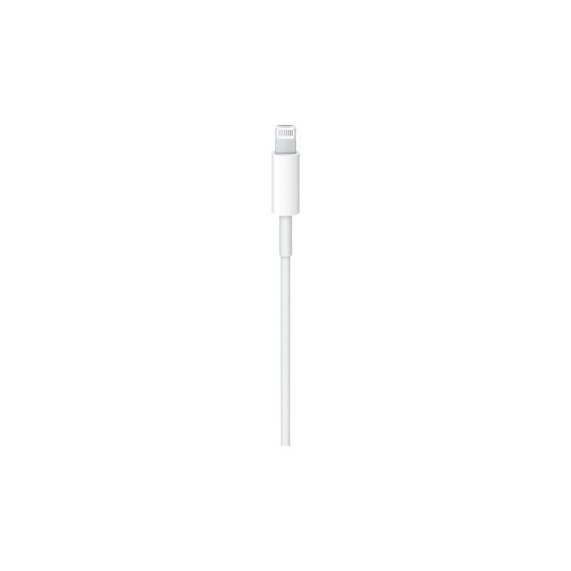 Apple Lightning auf USB-C (1,00 m) MQGJ2ZM/A