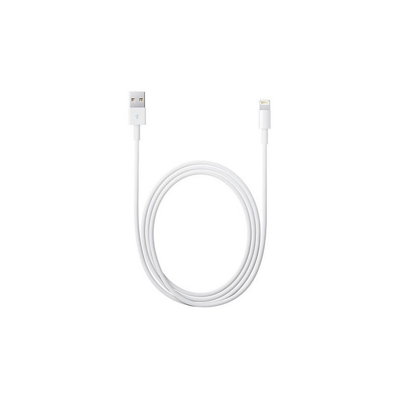 Apple Lightning auf USB Kabel (2,00 m)