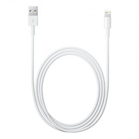 Apple Lightning auf USB Kabel (0,50 m)