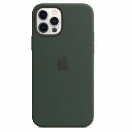 Apple Silikon MagSafe Hülle iPhone 12 / 12 Pro Cyprus Green