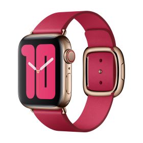 Apple Modern Buckle Apple Watch large 38mm / 40mm / 41mm Raspberry