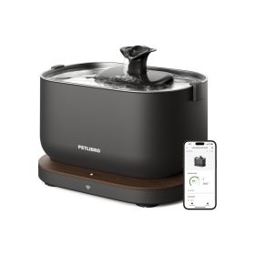 Petlibro Dockstream Smart Wasserbrunnen schwarz