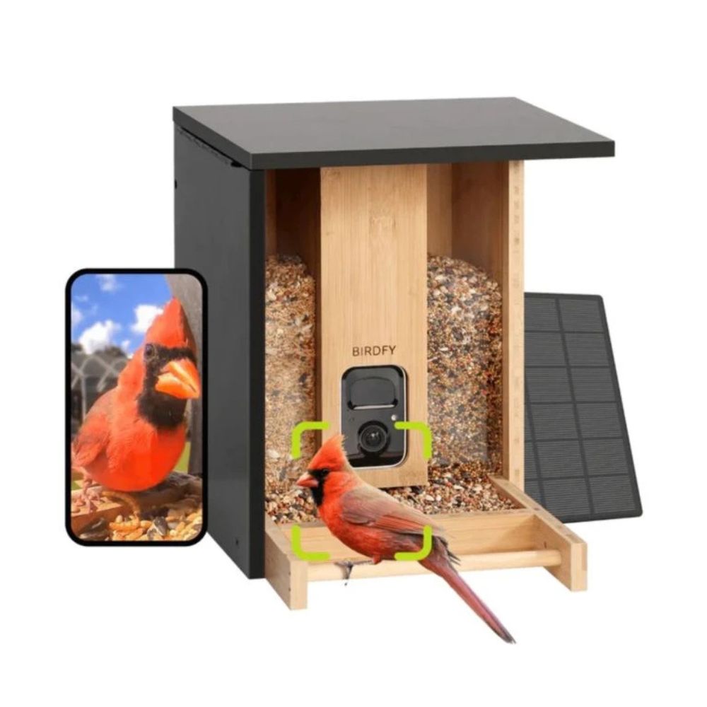 Birdfy Bamboo Bird House with Camera