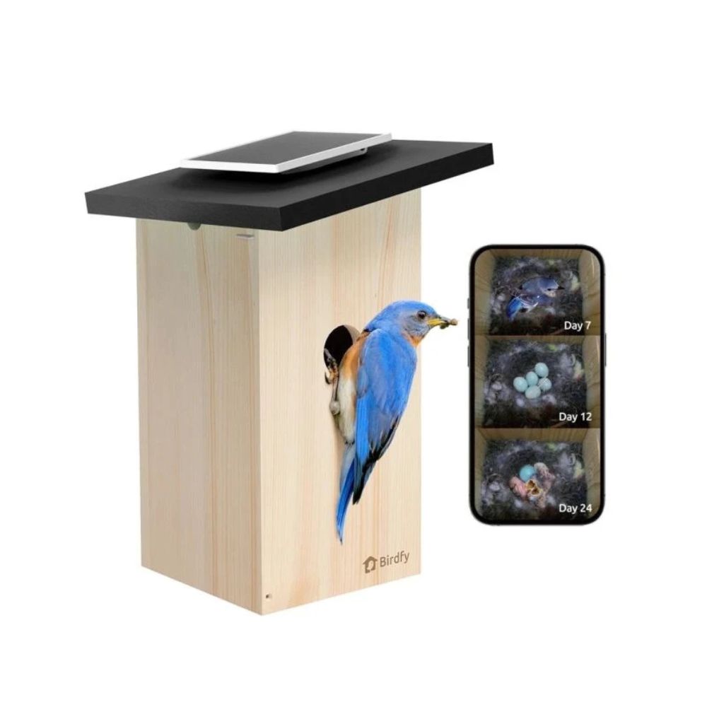 Birdfy Ebony Lite Solar-Powered